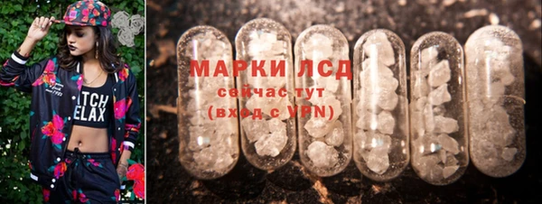 прущие грибы Каменка