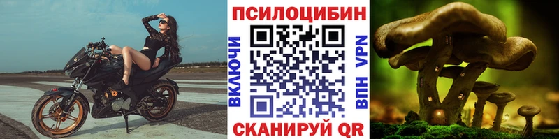 Галлюциногенные грибы мухоморы  Купить где  Россошь 